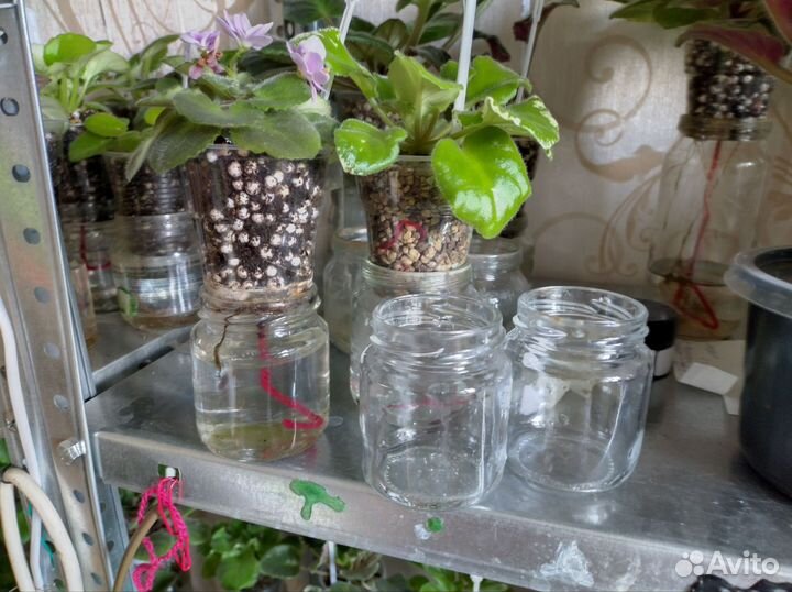 Баночки для фиалок