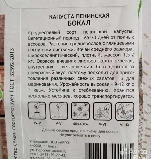 Рассада пекинской капусты