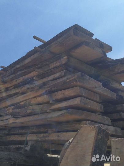 Слэб американский клён