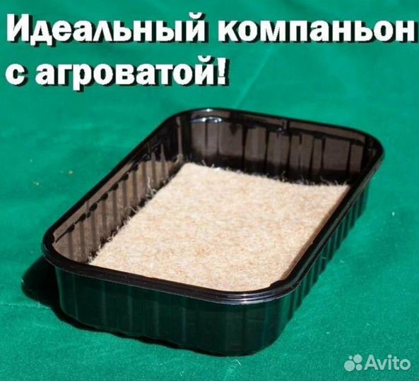 Лотки для микрозелени