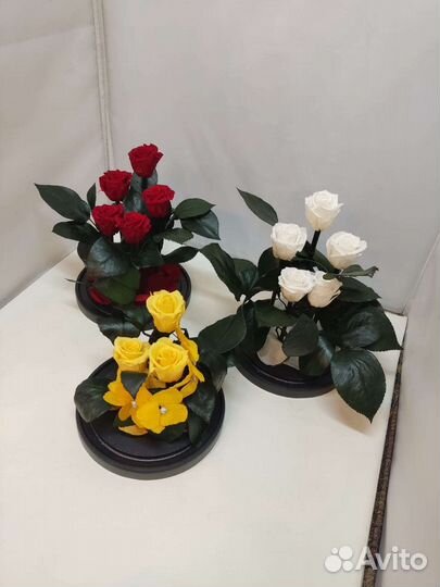 Роза в колбе