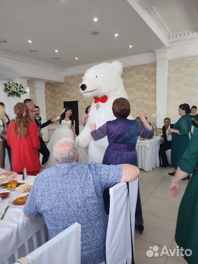 Белый мишка на поздравление