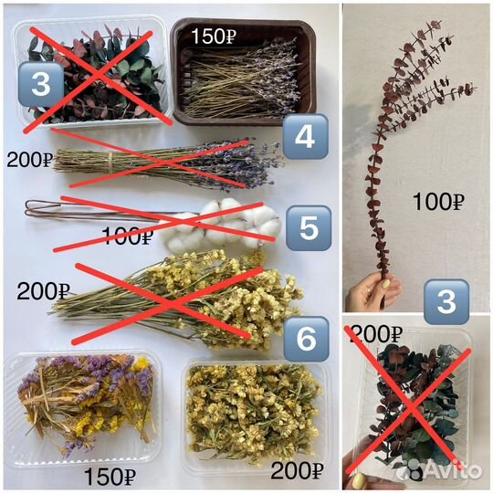 Сухоцветы и стабилизированные цветы