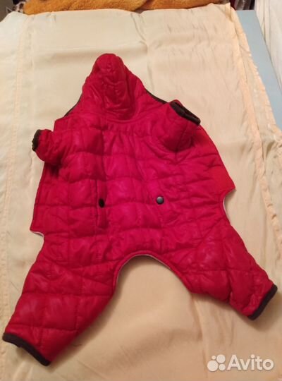 Комбинезон для маленькой собаки s