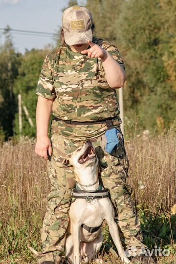 Зоогостиница для вашего питомца