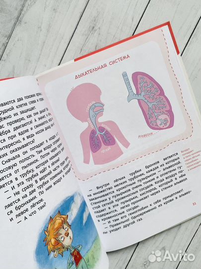 Энциклопедии Чевостика