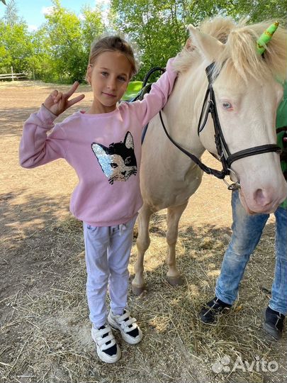 Конные прогулки, катание, обучение верховой езде