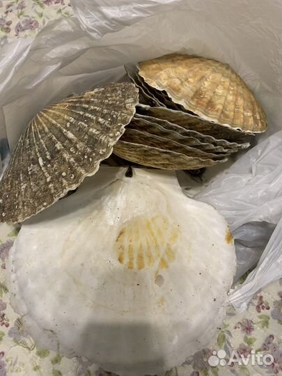 Украшения для аквариума