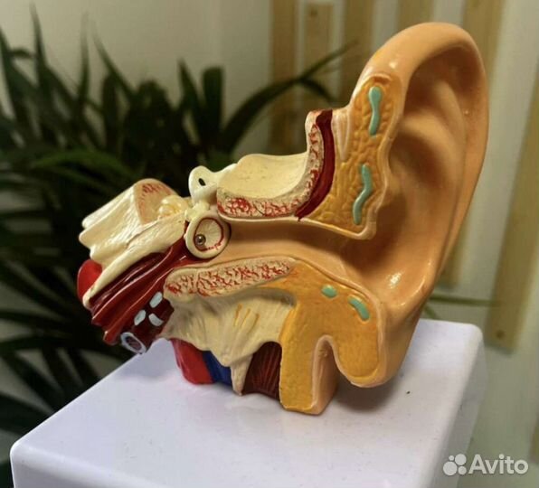 Микронаушник bluetooth аренда