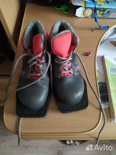 Лыжные ботинки