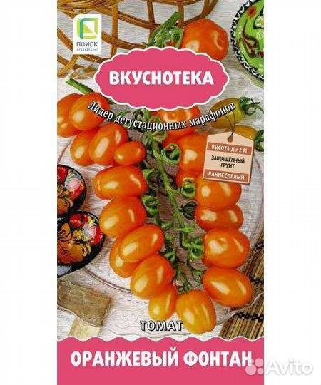 Рассада помидор