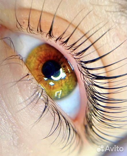 Ламинирование ресниц и ботокс