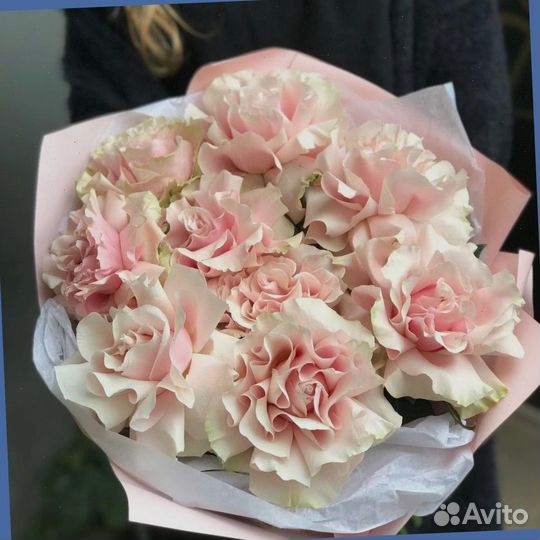 Французские розы крупные