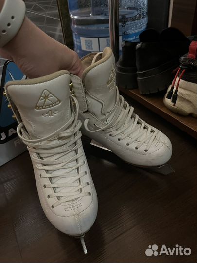 Коньки фигурные