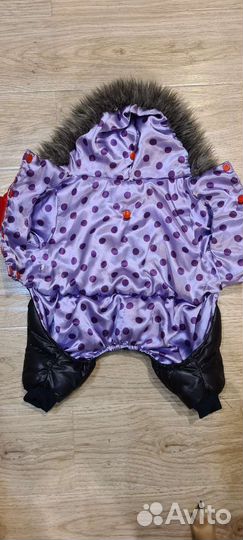 Зимний комбинезон для маленьких собак