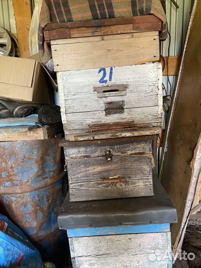 Ульи для пчел бу