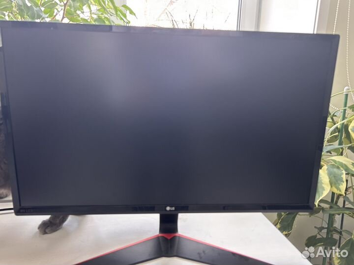 Монитор LG 24 дюйма