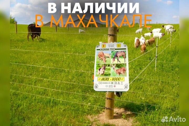 Электропастух в наличии