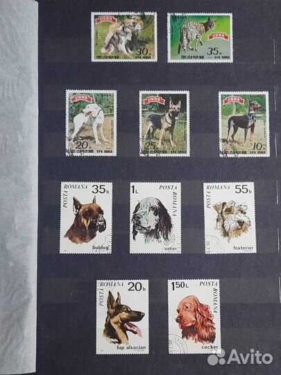 Коллекция почтовых марок 