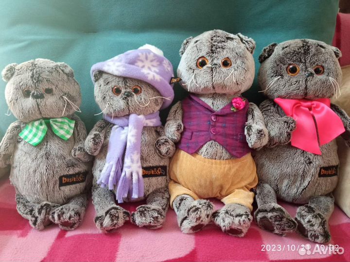 Коты Басики