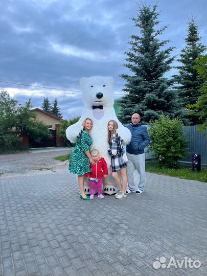 Белый Мишка в Ваш праздник