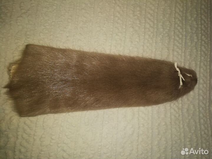 Нутрия щипаная, шкурка, цвет светло-коричневый