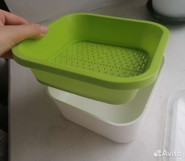 Контейнер для проращивания микрозелени