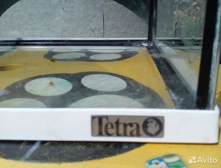 Аквариум на 20 литров