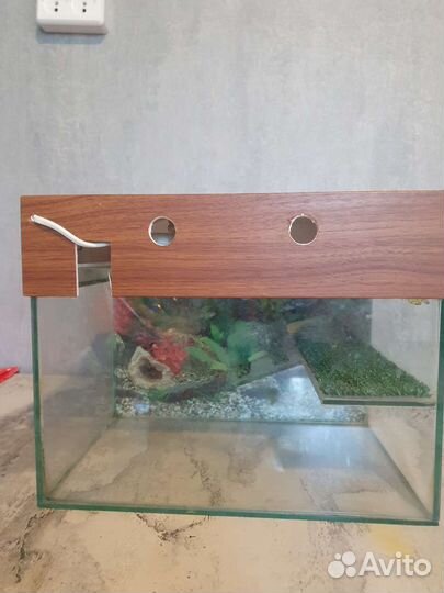 Аквариум для красноухой черепахи