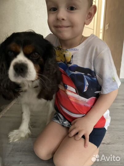 Передержка