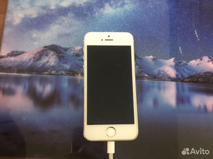 iPhone 5