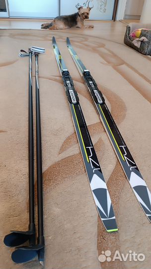 Беговые лыжи tisa с ботинками spine,два комплекта