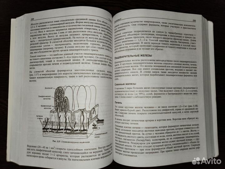 Книга для подготовки к ЕГЭ по биологии