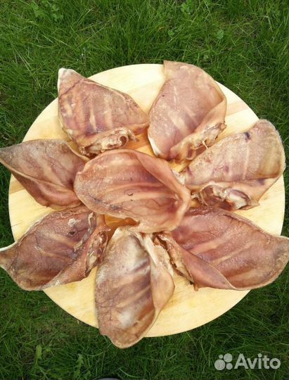 Сушеные лакомства для собак оптом и в розницу