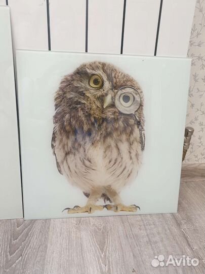 Картины на стекле Сова