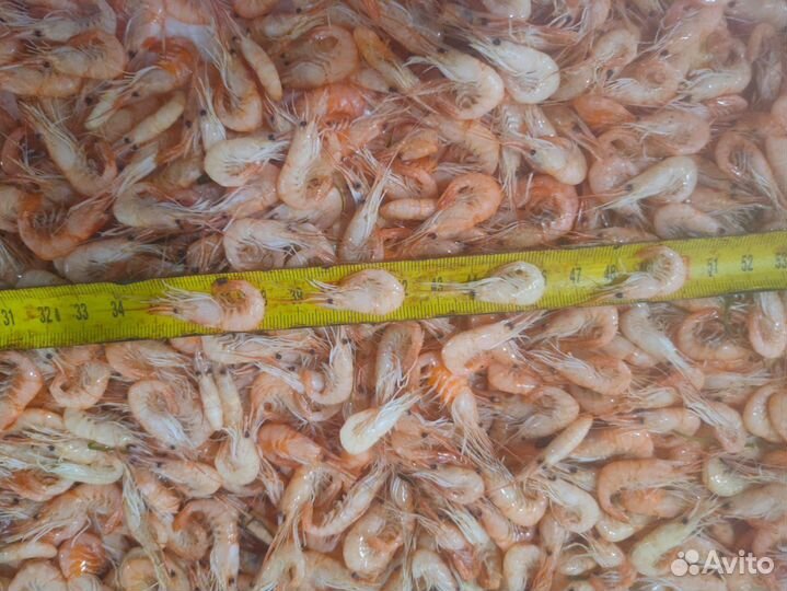 Креветка Черноморская мелкая