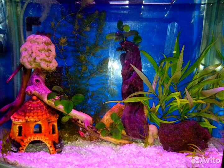 Продам полностью готовый аквариум