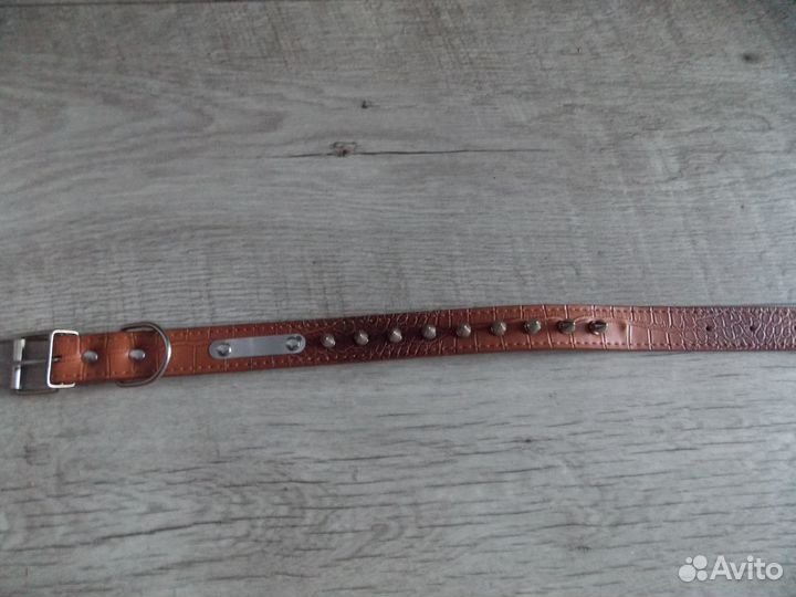 Ошейник для собак