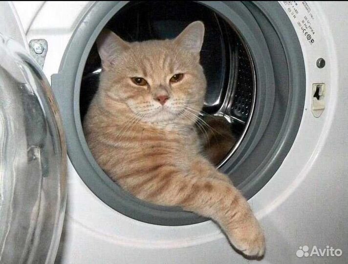 Ремонт стиральных машин