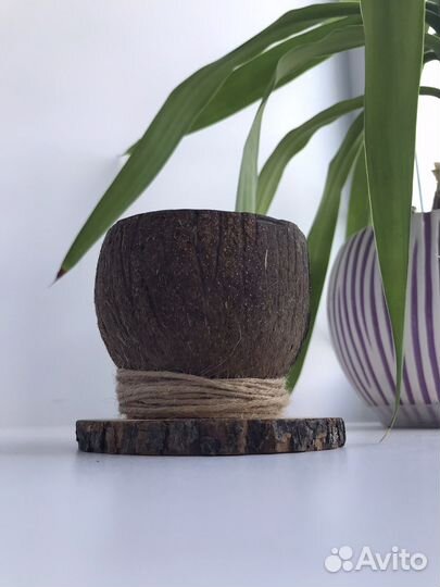 Свеча в кокосе