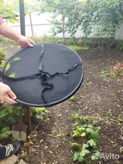 Сушилка для овощей и фруктов