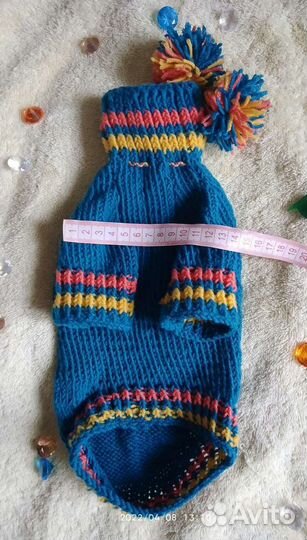 Одежда для собак, той терьер (весна - осень)