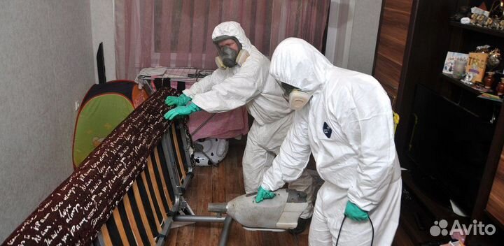 Дезинфекция дезинсекция тараканов клопов
