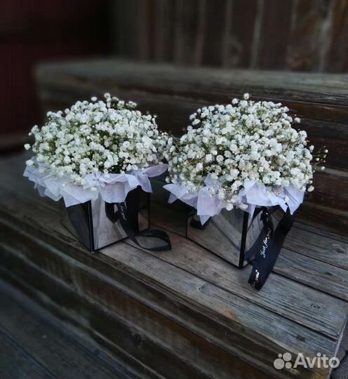 Гипсофила, композиция из живых цветов в коробочке