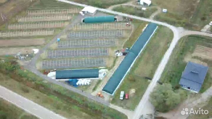 Ягодная ферма