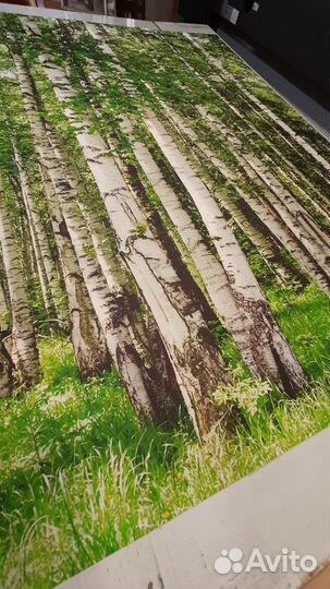 Фотообои #Роща