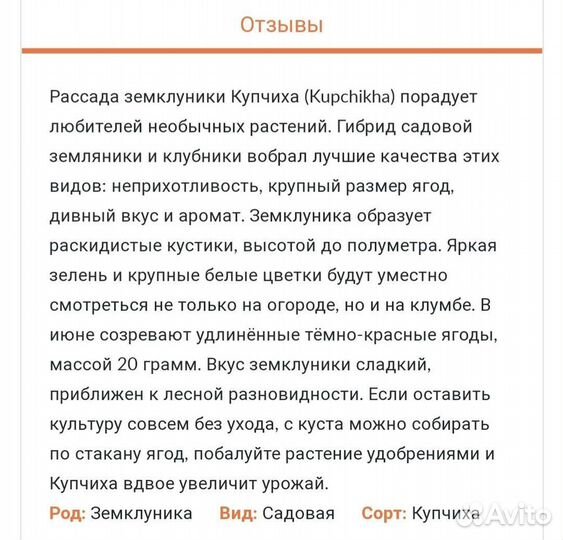 Клубника 