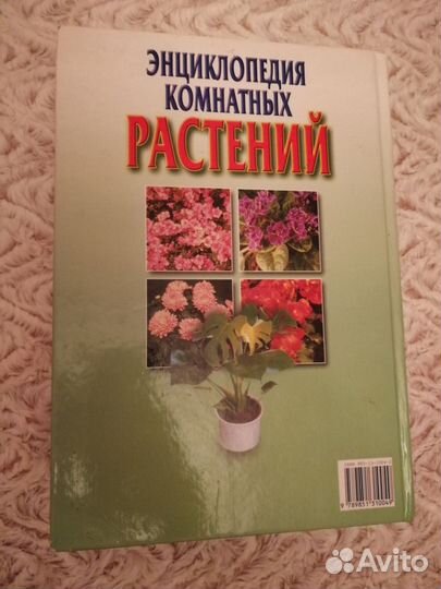 Энциклопедия комнатных растений