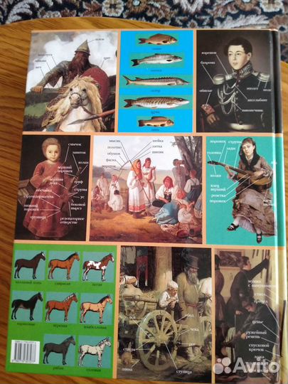 Книга-альбом 