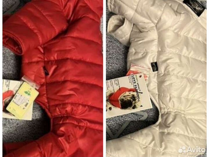 Одежда для собак комбинезоны Puppy Angel M/L,L